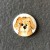 Smaller Medium Dogs - Please select design: ginger dog
