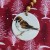 Bird Christmas Decorations: Sparrow