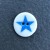 Assorted Star Buttons: Blue Star Smaller Medium