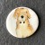 Large Dog Button - please select design: Ginger Dog