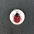Assorted Insect Pendants: Ladybird Smaller Medium