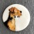 Large Dog Button - please select design: Terrier