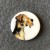 Medium Dog Button - please select design: Terrier