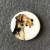 Medium Dog Button - please select design: Terrier