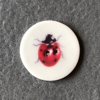 Ladybird Medium Circular Button
