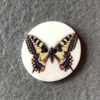 Swallowtail Medium Circular Button